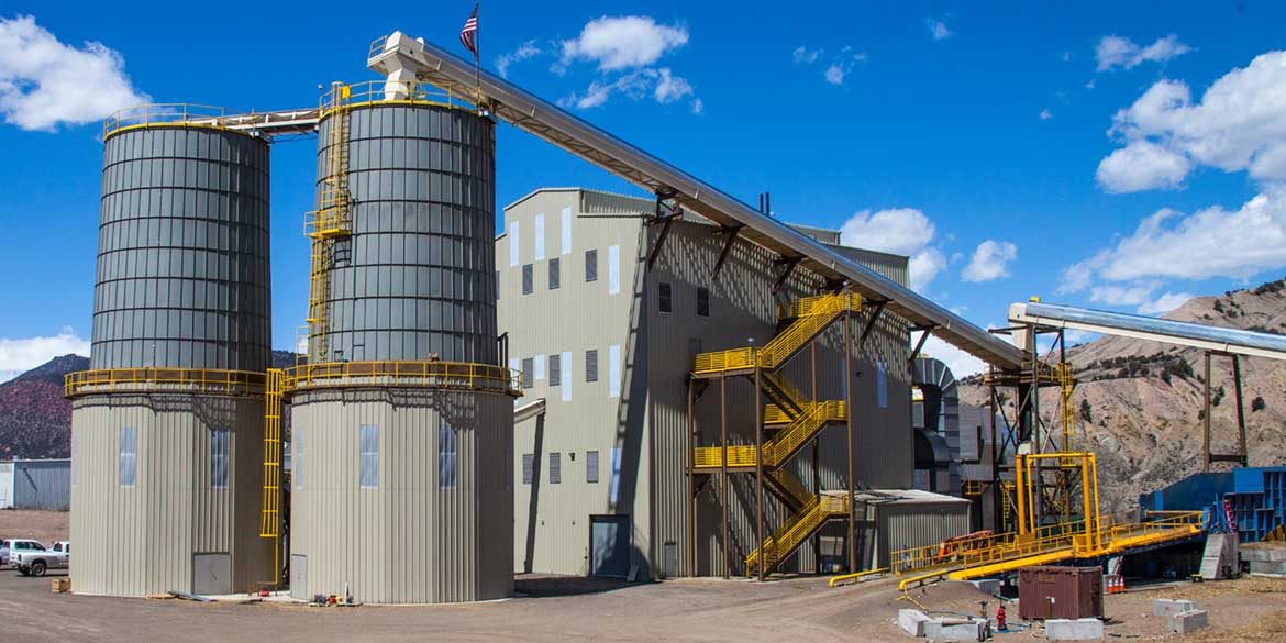 Biomass Electric Power Generating Facility