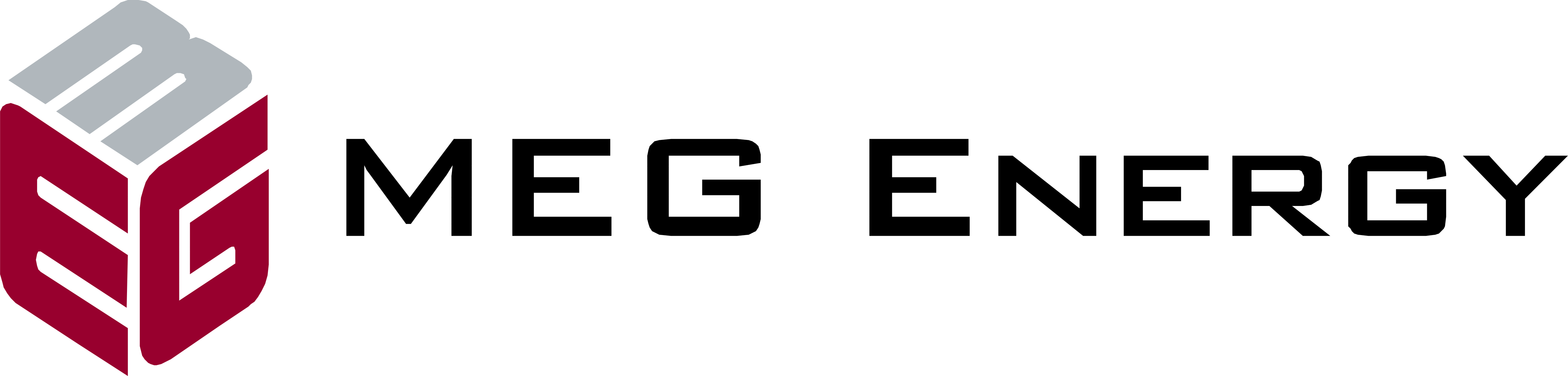 MEG-Energy-logo